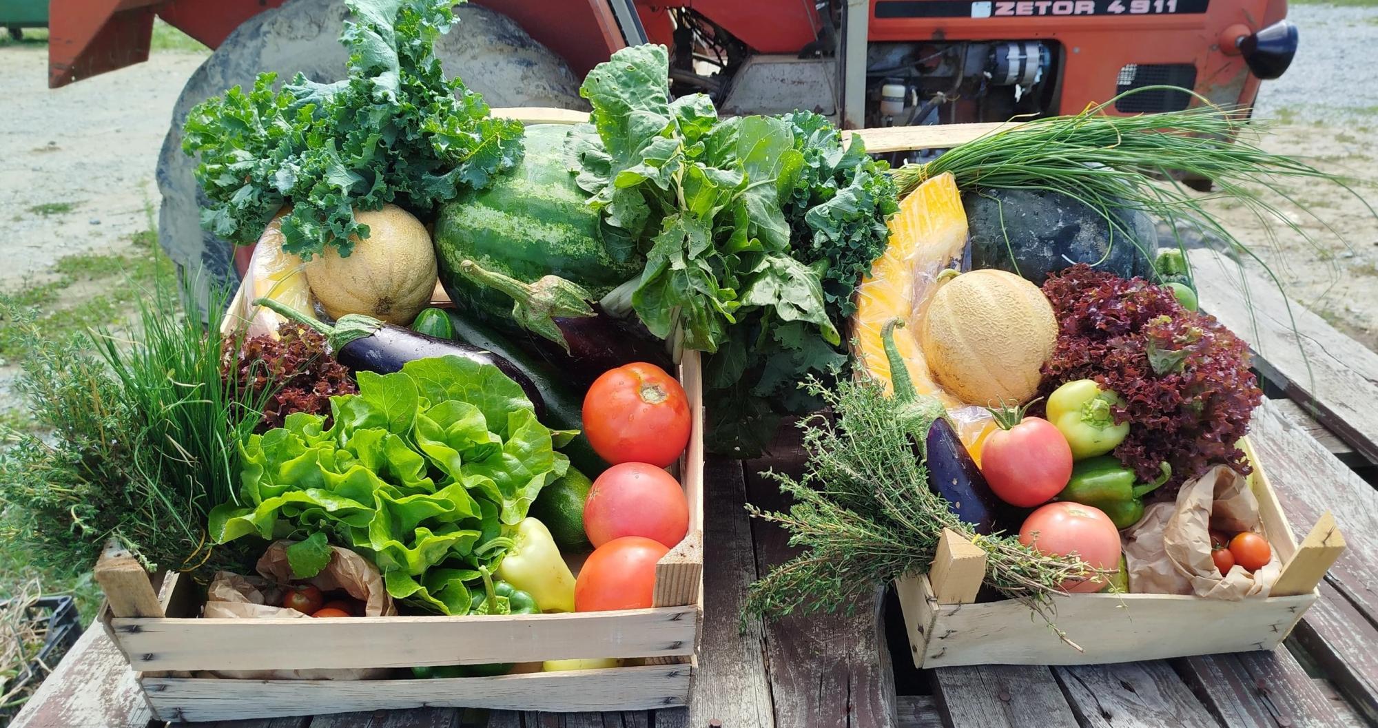 crop baskets at the peak of the season.jpg